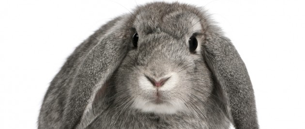 statt yak zroblyat vas krasche v 2015 roc za vers yu a 5 - Статті, які зроблять вас краще в 2015 році, за версією а